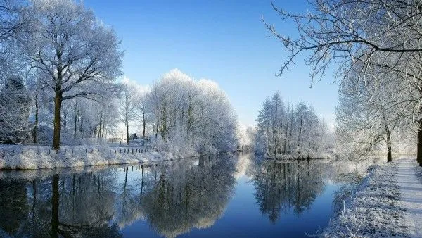 Fondo de un bosque en invierno - Fondos de Pantalla. Imágenes y ... Fondo de un bosque en invierno - Fondos de Pantalla. Imágenes y ...