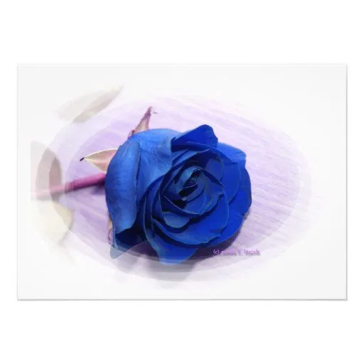 Solo fondo color de rosa, pálido azul marino invitaciones ... Solo fondo color de rosa, pálido azul marino invitaciones ...