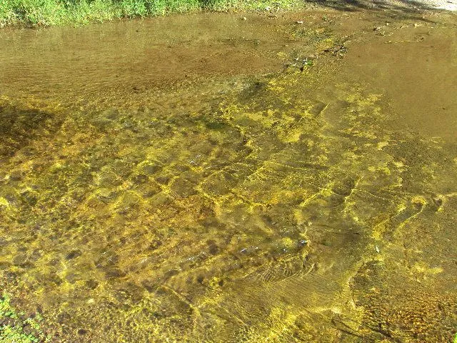 Fondo cuadrille celeste - Imagui
