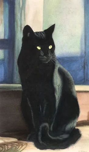 DESDE EL FONDO DE LA DIMENSIÓN DEL ALMA: LEYENDA DEL GATO NEGRO.