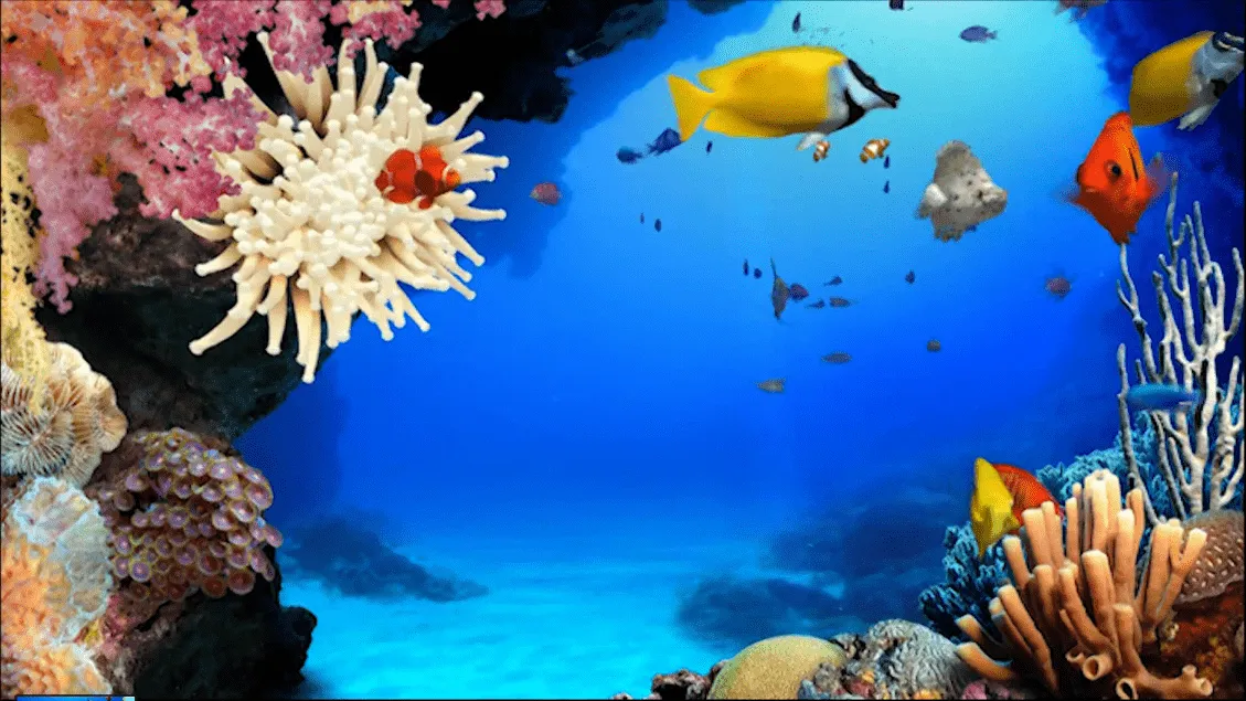 Fondo para escritorio con movimiento - Imageneitor