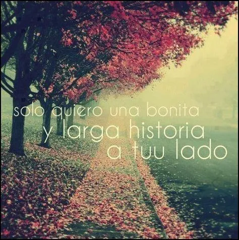 fondo de flores vintage con frases - Buscar con Google | love ...