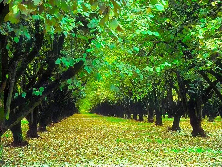 Fondo para fotomontaje 3D - Imagui