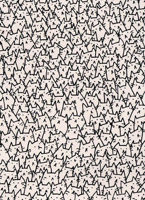 fondo gato | Tumblr
