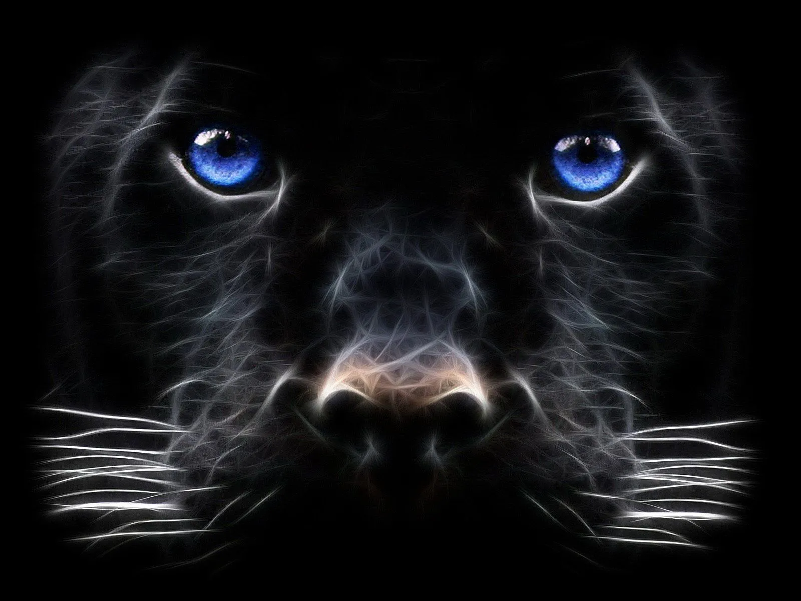 Fondo HD los ojos de la pantera | Imagenes y Fondos de Pantallas ... Fondo HD los ojos de la pantera | Imagenes y Fondos de Pantallas ...