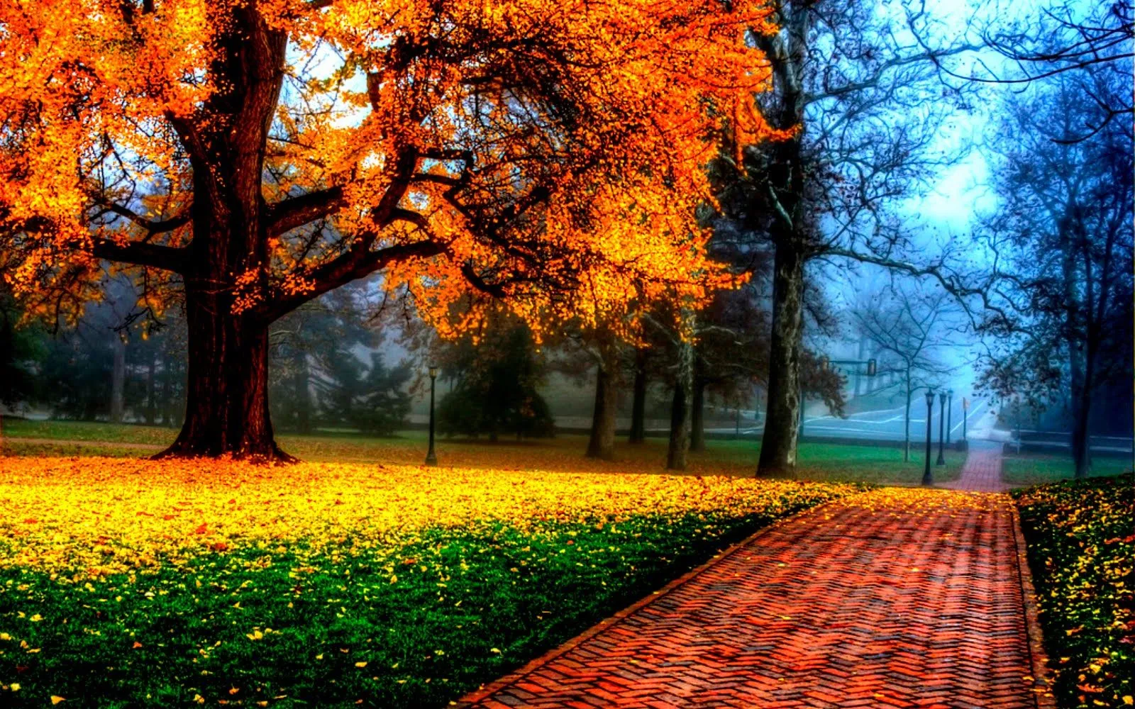 Fondo de Hojas de Otoño ~ Fondos de Pantalla Fondo de Hojas de Otoño ~ Fondos de Pantalla