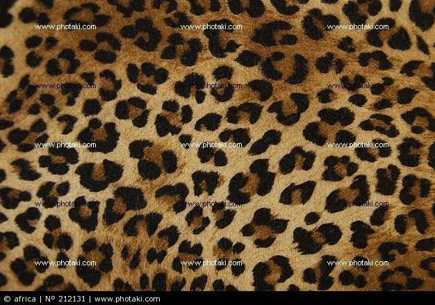 Fondo leopardo rosa - Imagui