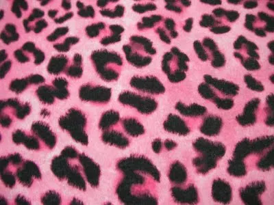 Fondos leopardo rosa - Imagui