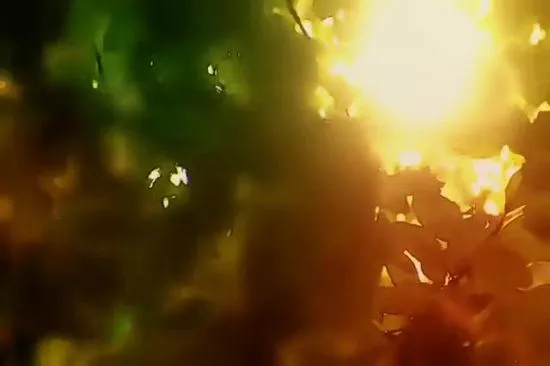 Fondo: Luz de Otoño | The Sound Tank | SermonSpice Fondo: Luz de Otoño | The Sound Tank | SermonSpice