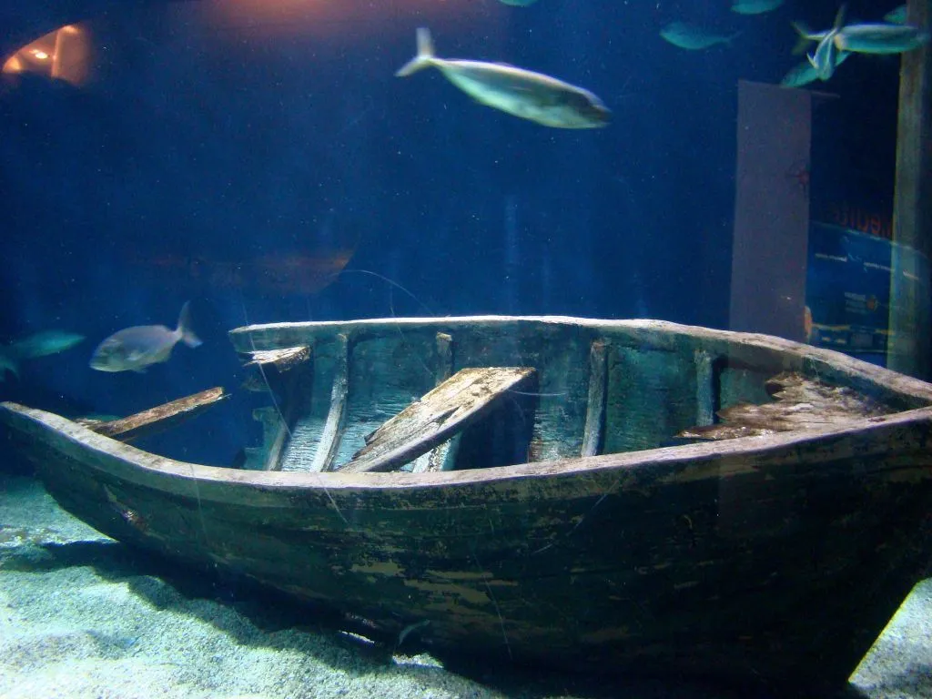 En el fondo del mar | fotos de Concurso 