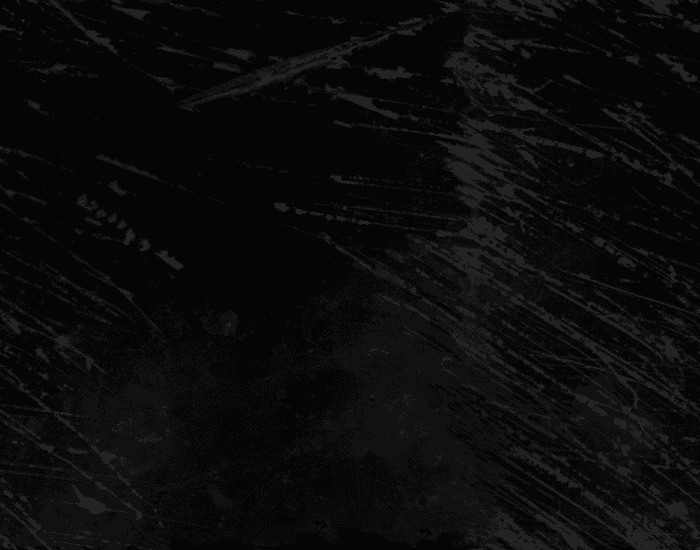 fondo-negro.gif – VICTOR ZEGARRA MUÑANTE (Personal Coach) fondo-negro.gif – VICTOR ZEGARRA MUÑANTE (Personal Coach)