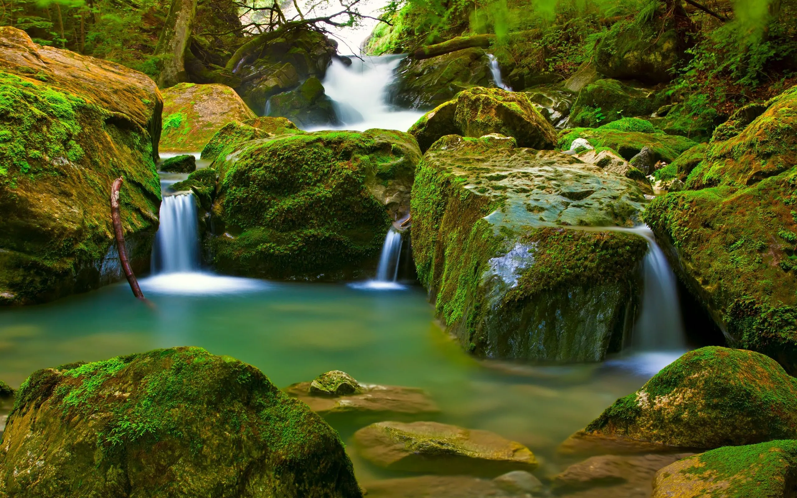 Fondo De Paisajes Naturales En Hq Gratis Para Bajar A La ...