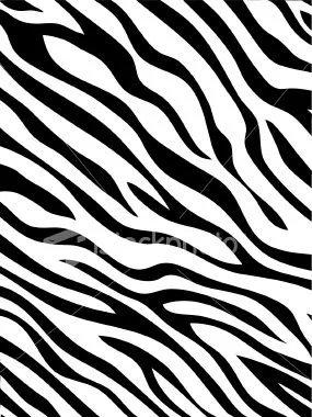 Fondo de pantalla animal print de zebra - Imagui