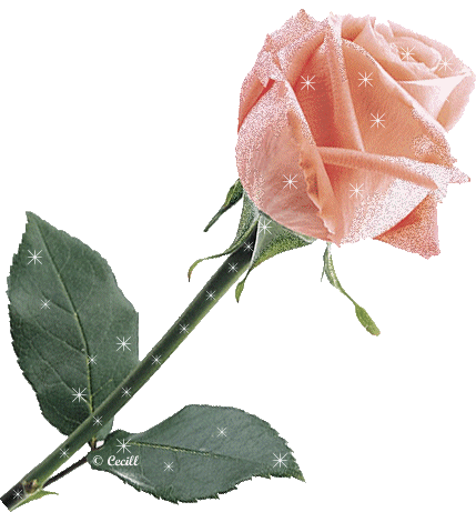 Gifs y Fondos PazenlaTormenta: FLORES BRILLANTES