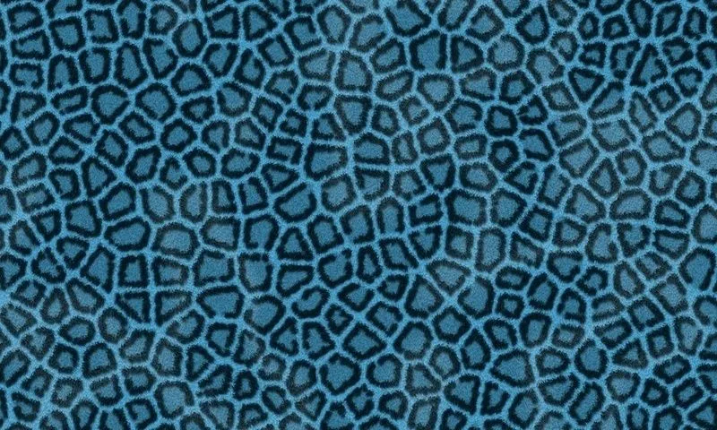 Fondo de pantalla de leopardo - Imagui