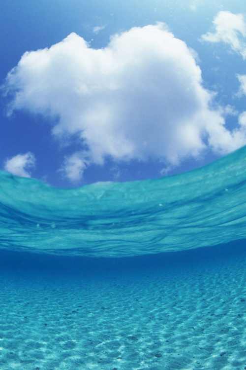 Fondo de pantalla mar en movimiento - Imagui Fondo de pantalla mar en movimiento - Imagui
