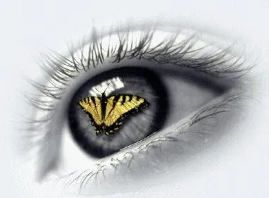 Fondos de pantalla mariposas en movimiento - Imagui Fondos de pantalla mariposas en movimiento - Imagui