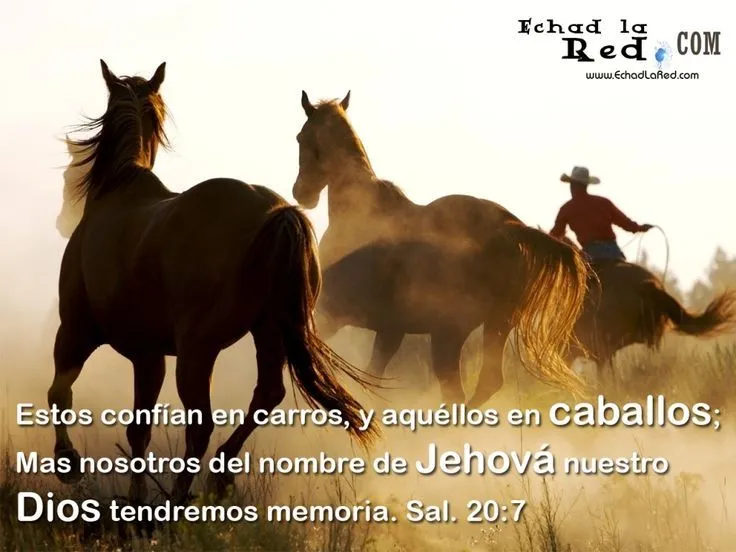 Fondos de Pantalla con mensajes cristianos on Pinterest ...