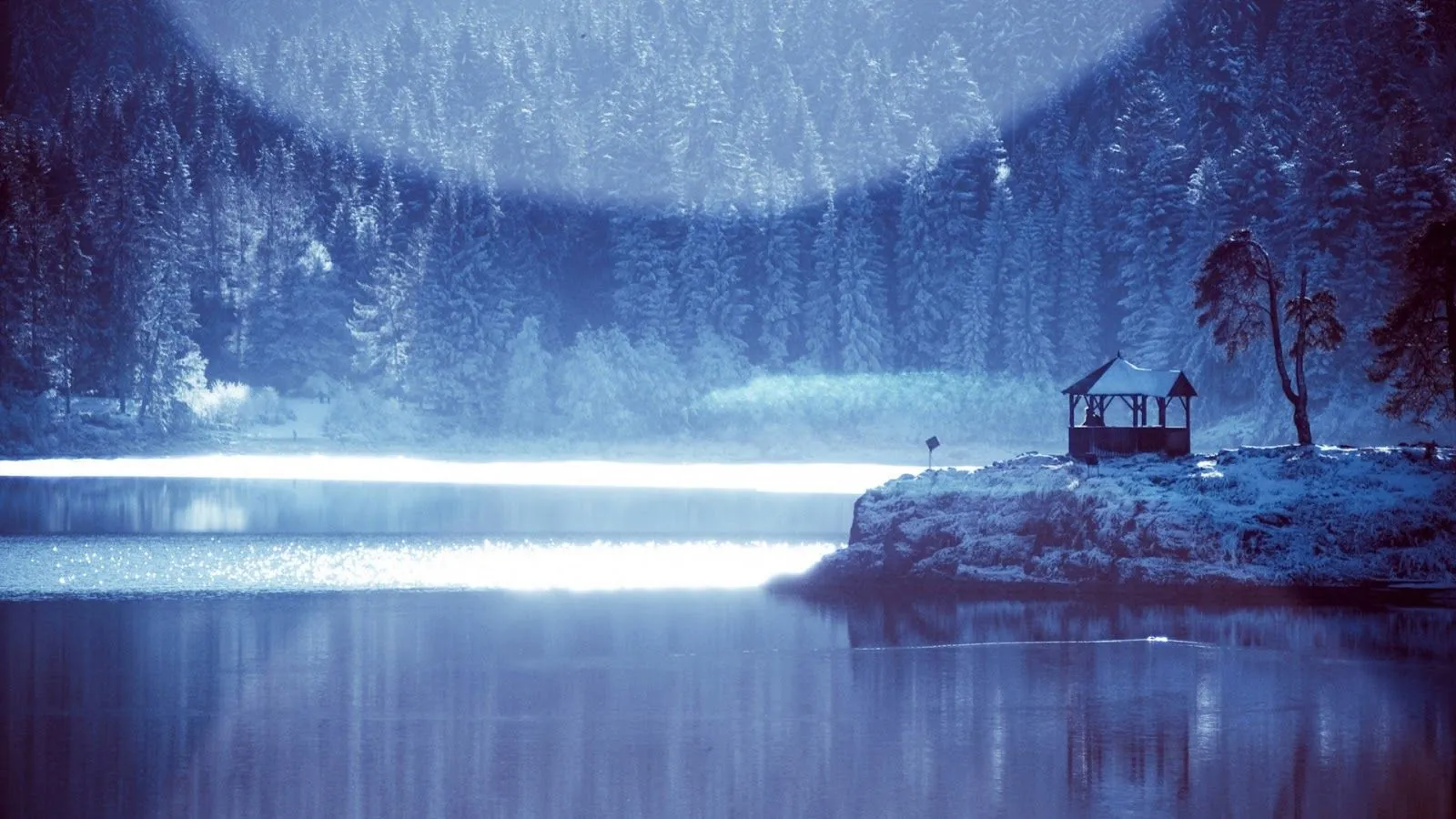 Fondo de Pantalla Paisajes Bosque nevado | Imagenes. Fondo de Pantalla Paisajes Bosque nevado | Imagenes.