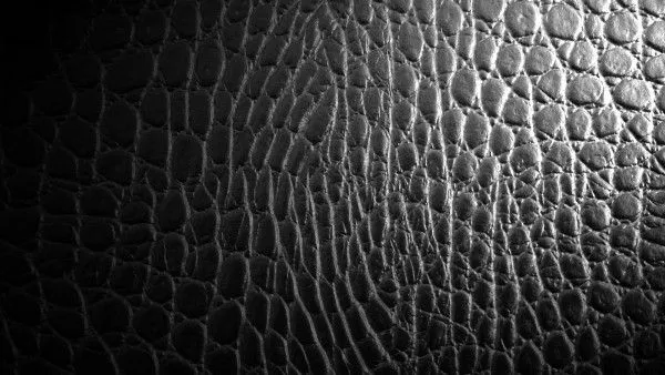 Fondo Pantalla Textura de Piel Natural - Fondos de Pantalla ...