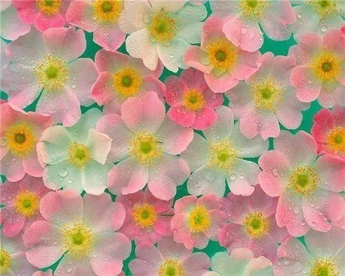 Fondo de pantalla !! | Wallpapers❤ ❤ ❤ | Pinterest Fondo de pantalla !! | Wallpapers❤ ❤ ❤ | Pinterest