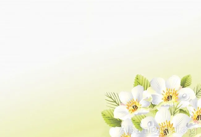 Fondo primavera álbum classic rama flores blancas y gotas Fondo primavera álbum classic rama flores blancas y gotas