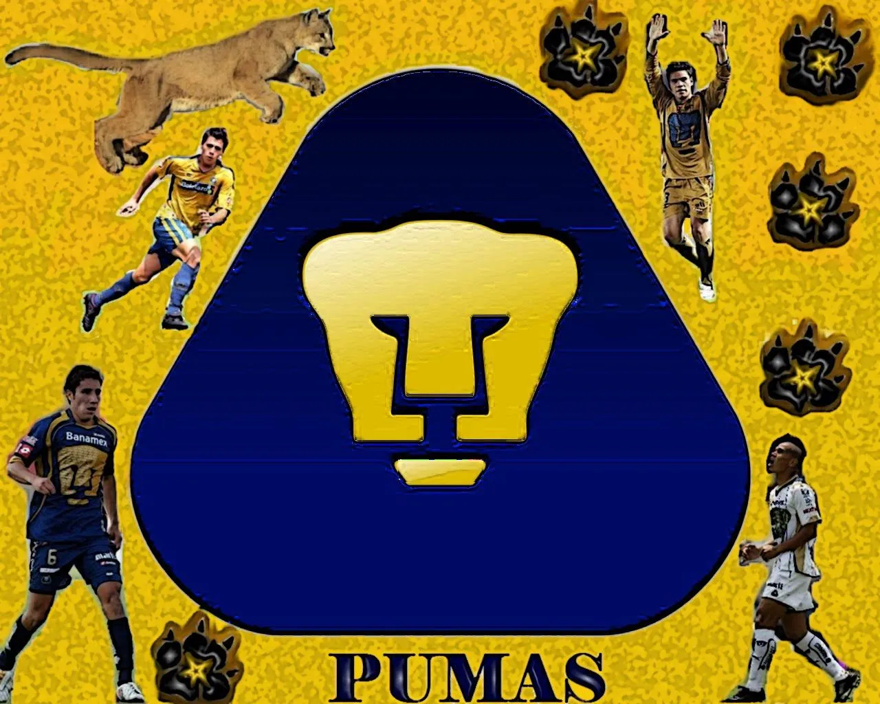 este fondo fue hecho para seguidores pumas como tu adelante copia y ... este fondo fue hecho para seguidores pumas como tu adelante copia y ...