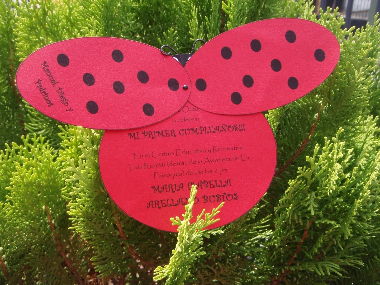Fondo de tarjetas de invitación con motivo de mariquitas - Imagui Fondo de tarjetas de invitación con motivo de mariquitas - Imagui