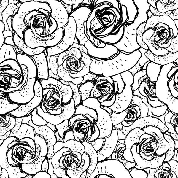 Fondo transparente blanco y negro con rosas — Vector stock ... Fondo transparente blanco y negro con rosas — Vector stock ...