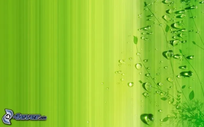 Fondos color verde agua - Imagui