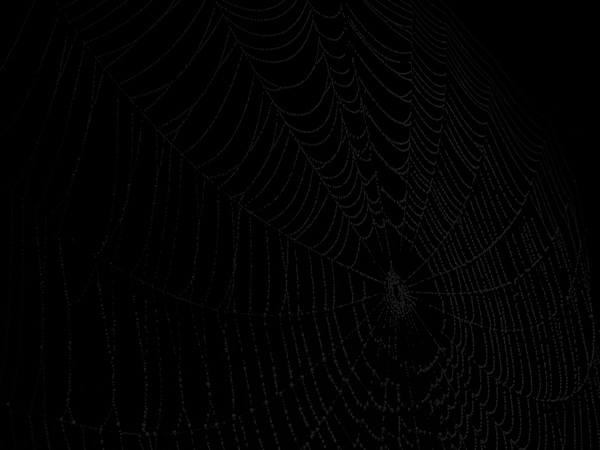 fondo_punk.gif 23-Jan-2012 10:49 88K