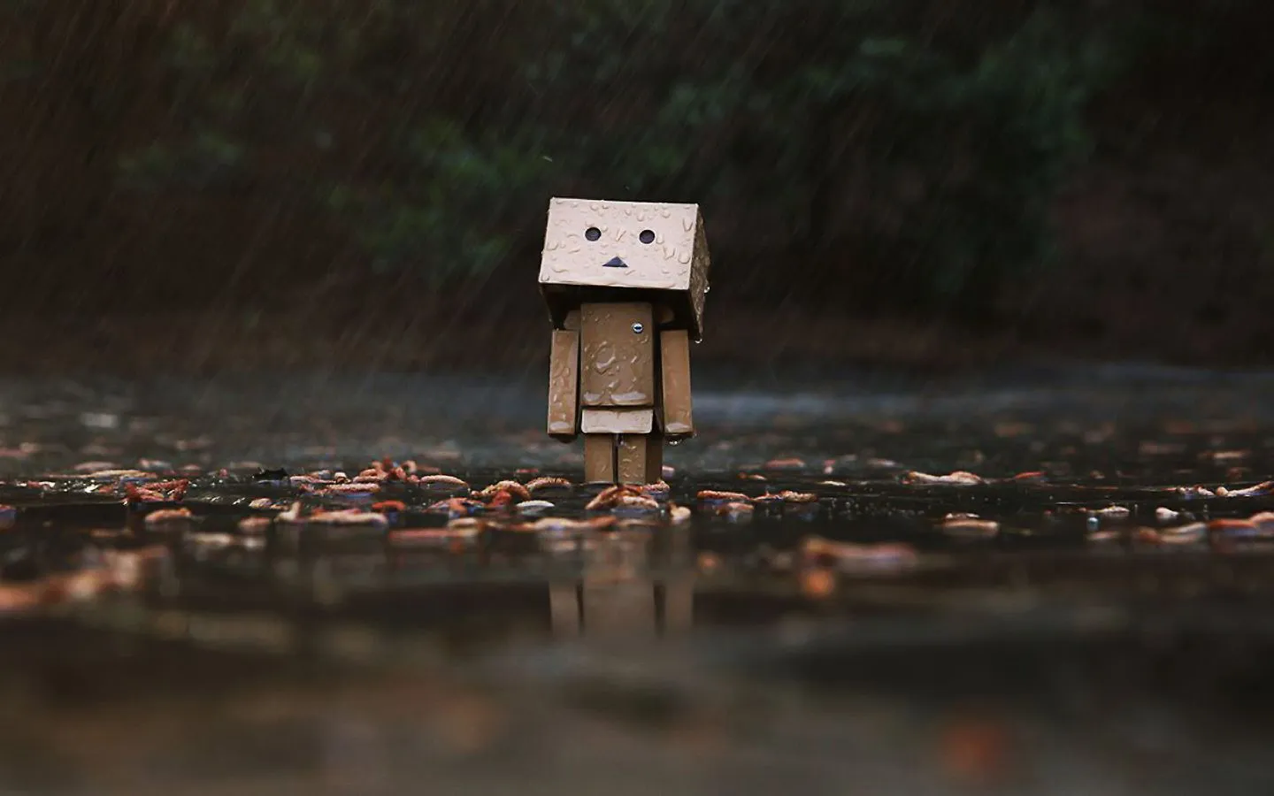Fondos para Android: Especial Danbo ~ Fotografías de Danbo | ADNFriki Fondos para Android: Especial Danbo ~ Fotografías de Danbo | ADNFriki