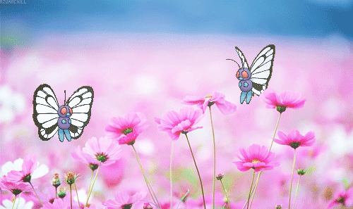 Paisajes animados con Mariposas. | Butterfly Animated Gifs ...