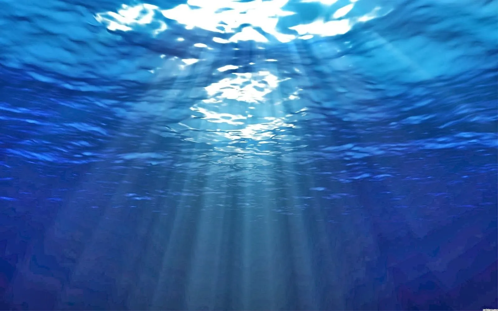 tuentodos: Su fondo azul marino...