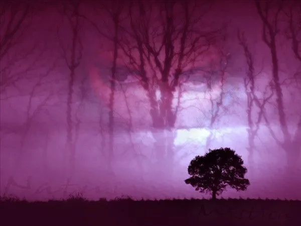 Fondo de pantalla color violeta - Imagui