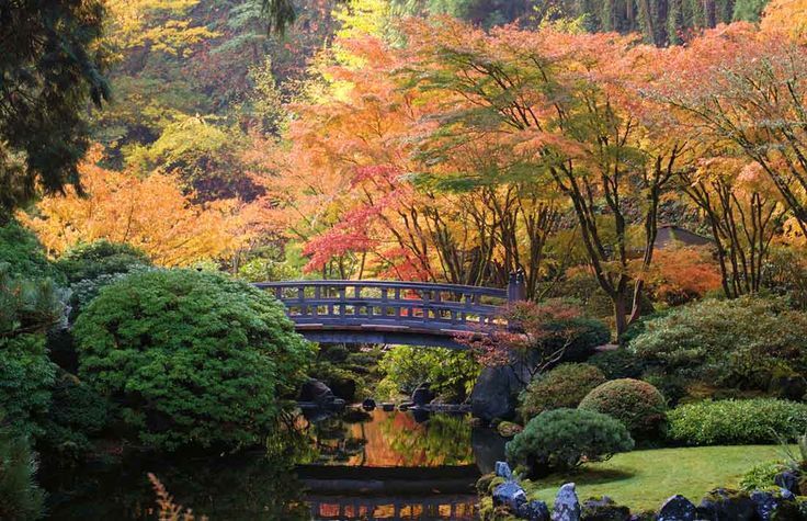 fondos-decoracion-paisajes-jardines-japoneses-japanese-garden ... fondos-decoracion-paisajes-jardines-japoneses-japanese-garden ...