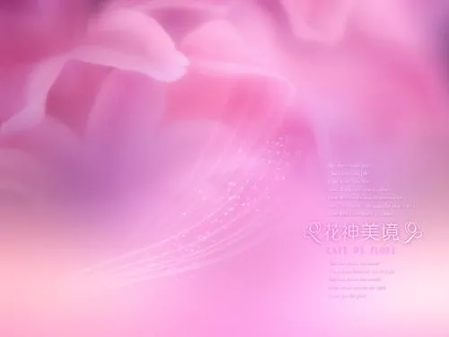 WWW.VIDEOIMAGEN.ES: PLANTILLAS DE FLORES FONDO ROSA