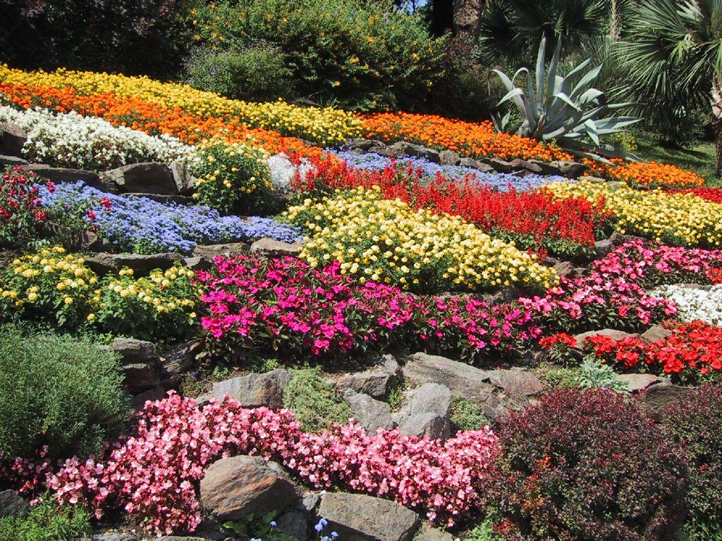 Fondos escritorio: flores: jardines