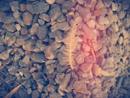 Fondos para tumblr hipster HD - Imagui