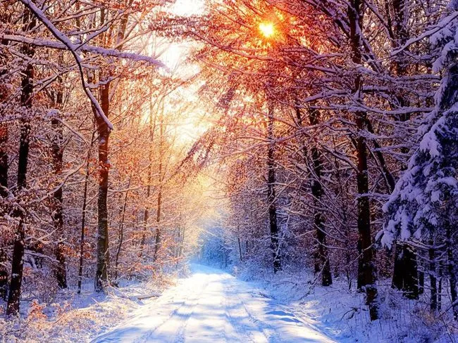 Fondos de escritorio: El Invierno - Backfocus Fondos de escritorio: El Invierno - Backfocus