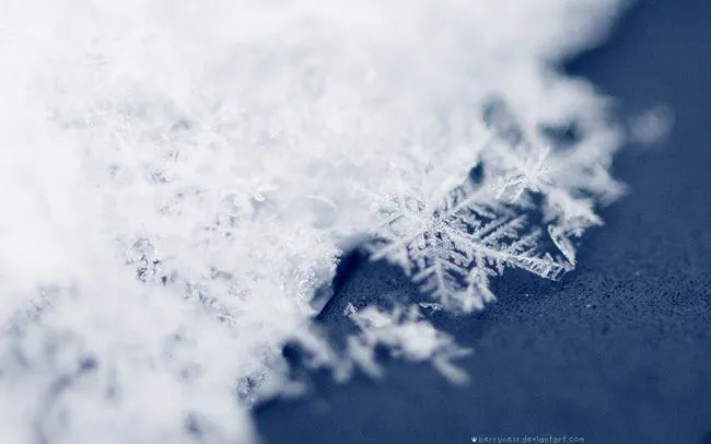 Fondos de escritorio: El Invierno - Backfocus Fondos de escritorio: El Invierno - Backfocus