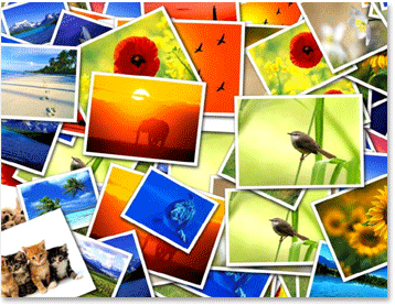 Fondos de escritorio movibles - Imagui