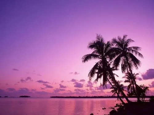 fondos de escritorio-paisajes-atardecer rojo en la playa(2 ...