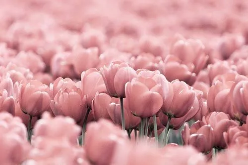 Viri de Villa: la infancia huele a flores, sabe a dulce y se ve ... Viri de Villa: la infancia huele a flores, sabe a dulce y se ve ...