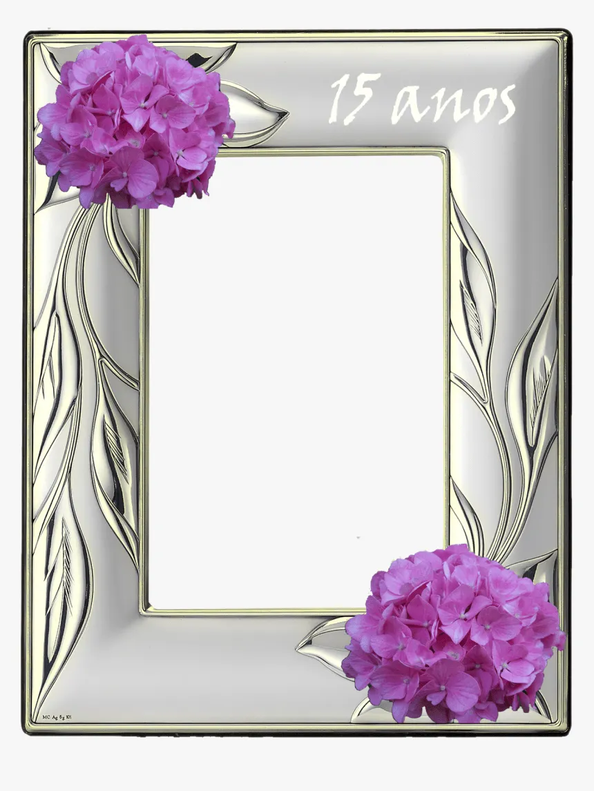 Fondos Para Fotos De Quince Años - Marco Para Foto Quince Años, HD Png Download , Transparent Png Image - PNGitem Fondos Para Fotos De Quince Años - Marco Para Foto Quince Años, HD Png Download , Transparent Png Image - PNGitem