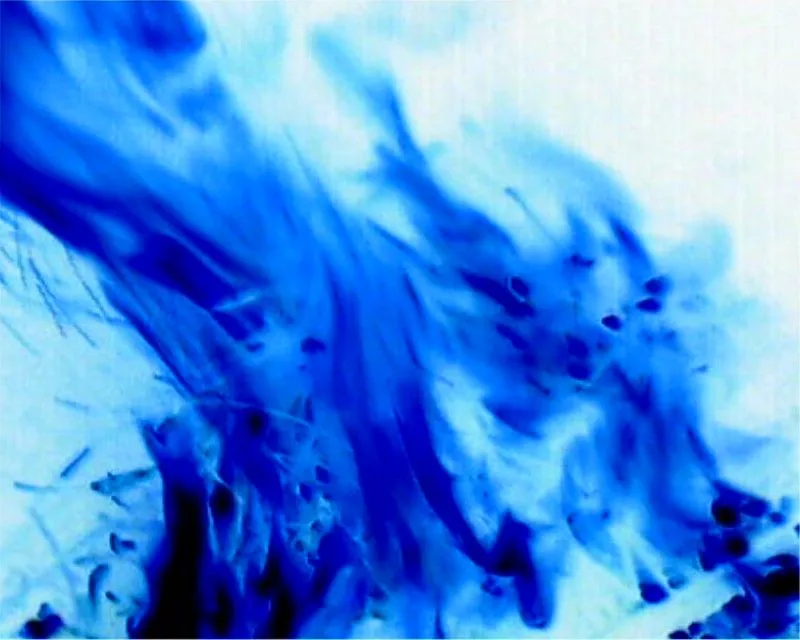 Fondos De Fuego Azul