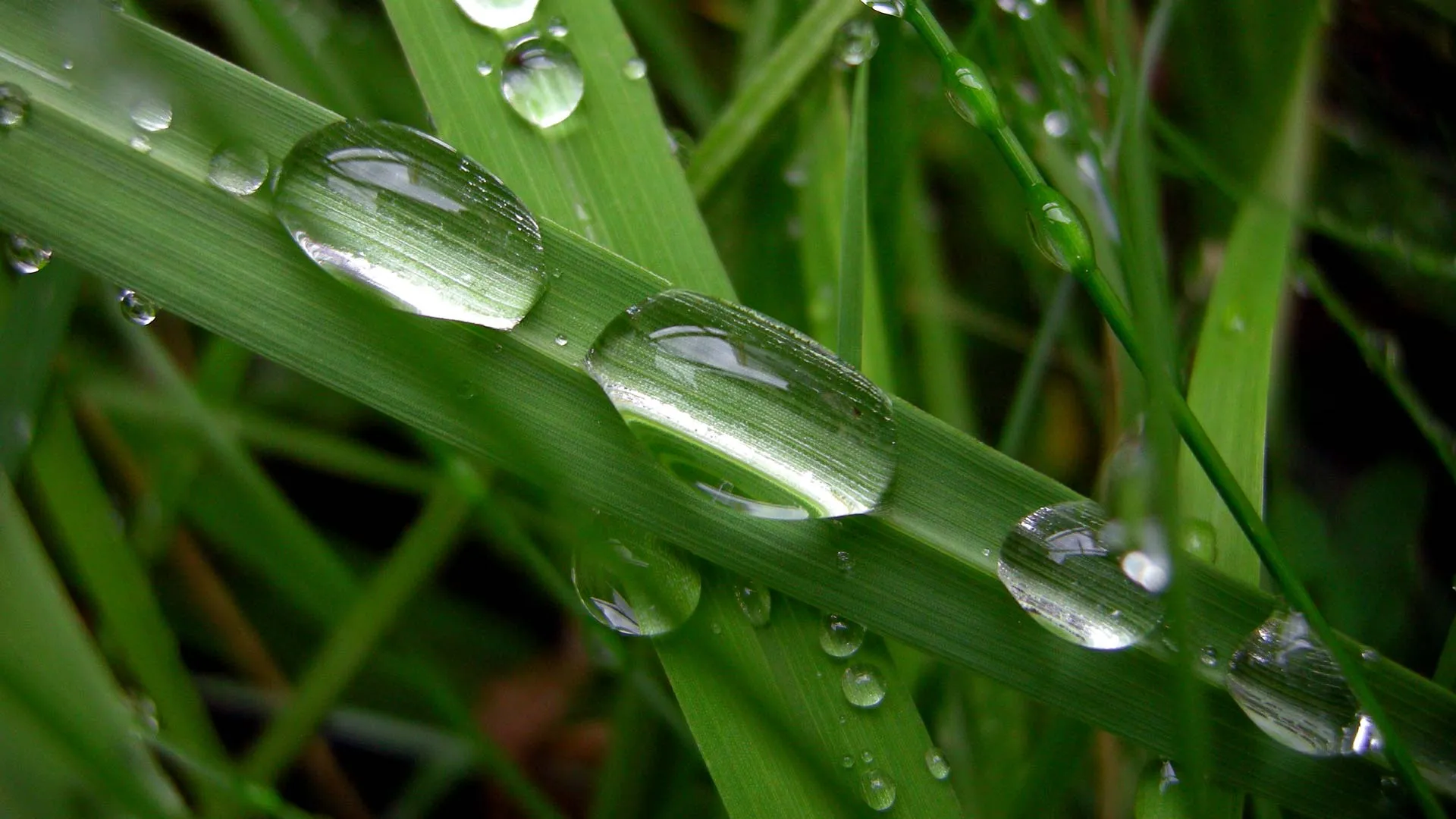 Fondos Full HD Fondos Full HD