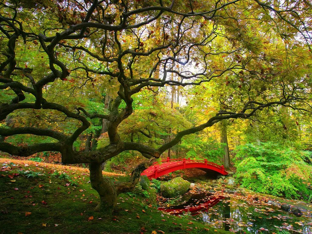 Fondos Gratis - Fondos Naturaleza - Jardines Steinhardt Fondos Gratis - Fondos Naturaleza - Jardines Steinhardt