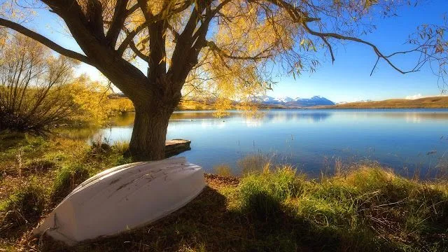 Wallpapers HD: 47 Wallpapers de Arboles, naturaleza - Fondos de ... Wallpapers HD: 47 Wallpapers de Arboles, naturaleza - Fondos de ...
