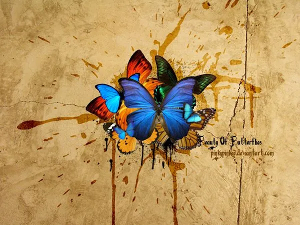 Fondos de mariposas de caricaturas - Imagui